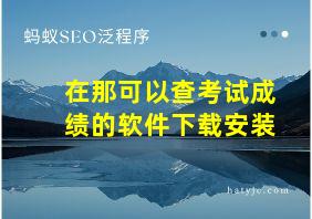 在那可以查考试成绩的软件下载安装