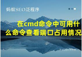 在cmd命令中可用什么命令查看端口占用情况