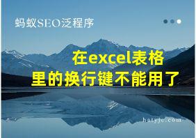 在excel表格里的换行键不能用了