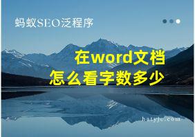 在word文档怎么看字数多少