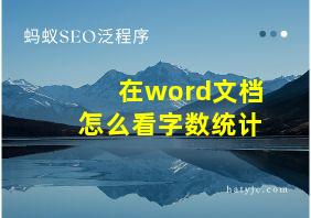 在word文档怎么看字数统计