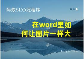 在word里如何让图片一样大