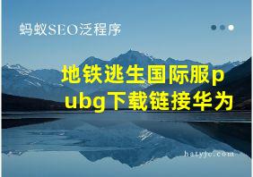 地铁逃生国际服pubg下载链接华为