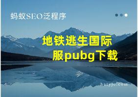 地铁逃生国际服pubg下载