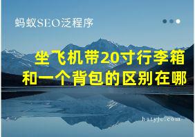 坐飞机带20寸行李箱和一个背包的区别在哪