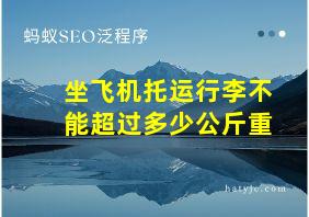 坐飞机托运行李不能超过多少公斤重