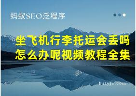 坐飞机行李托运会丢吗怎么办呢视频教程全集