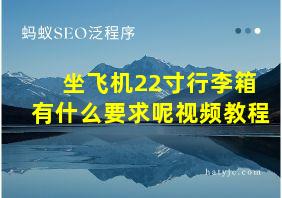 坐飞机22寸行李箱有什么要求呢视频教程