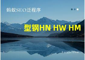 型钢HN HW HM