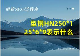 型钢HN250*125*6*9表示什么