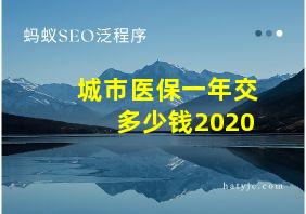 城市医保一年交多少钱2020