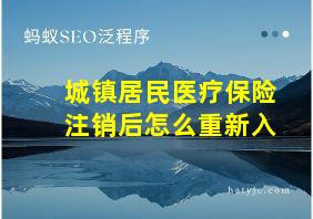 城镇居民医疗保险注销后怎么重新入