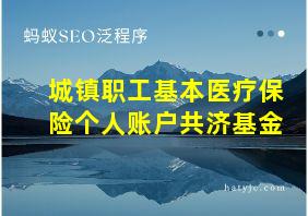 城镇职工基本医疗保险个人账户共济基金