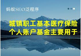 城镇职工基本医疗保险个人账户基金主要用于