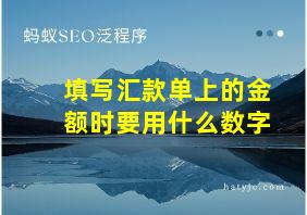 填写汇款单上的金额时要用什么数字