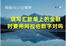 填写汇款单上的金额时要用阿拉伯数字对吗