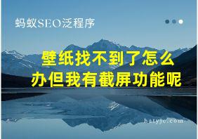 壁纸找不到了怎么办但我有截屏功能呢