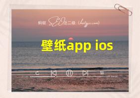 壁纸app ios