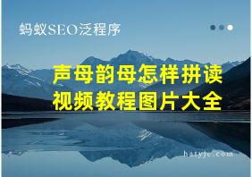 声母韵母怎样拼读视频教程图片大全