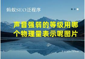 声音强弱的等级用哪个物理量表示呢图片