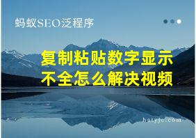 复制粘贴数字显示不全怎么解决视频