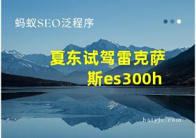 夏东试驾雷克萨斯es300h