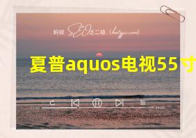 夏普aquos电视55寸