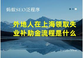 外地人在上海领取失业补助金流程是什么