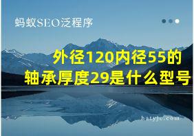 外径120内径55的轴承厚度29是什么型号