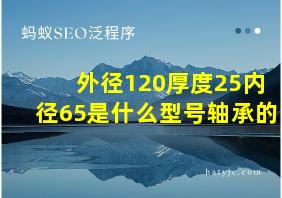 外径120厚度25内径65是什么型号轴承的