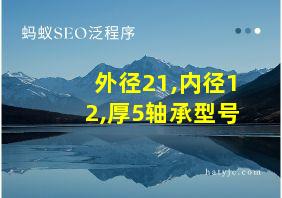 外径21,内径12,厚5轴承型号