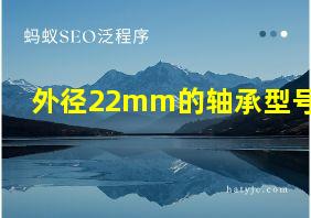 外径22mm的轴承型号