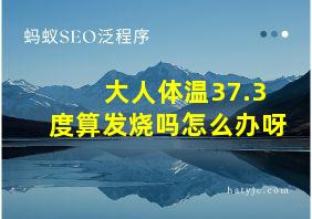 大人体温37.3度算发烧吗怎么办呀