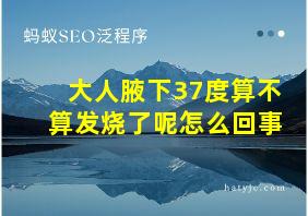 大人腋下37度算不算发烧了呢怎么回事