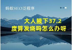 大人腋下37.2度算发烧吗怎么办呀