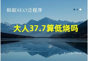 大人37.7算低烧吗