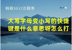 大写字母变小写的快捷键是什么意思呀怎么打