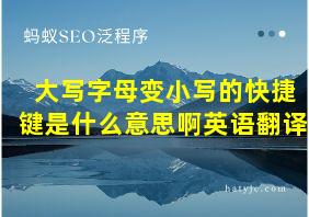 大写字母变小写的快捷键是什么意思啊英语翻译