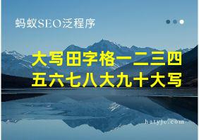 大写田字格一二三四五六七八大九十大写