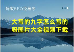 大写的九字怎么写的呀图片大全视频下载