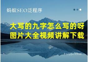 大写的九字怎么写的呀图片大全视频讲解下载