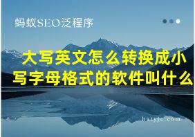 大写英文怎么转换成小写字母格式的软件叫什么