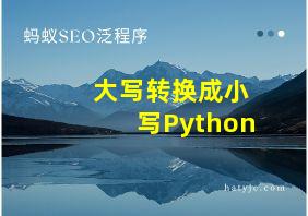 大写转换成小写Python