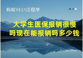 大学生医保报销很慢吗现在能报销吗多少钱