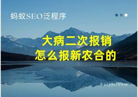 大病二次报销怎么报新农合的