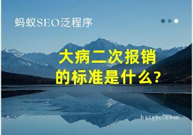 大病二次报销的标准是什么?