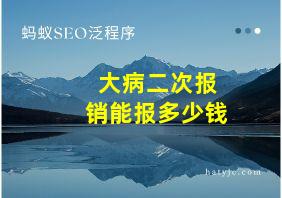 大病二次报销能报多少钱