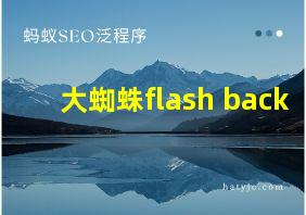 大蜘蛛flash back