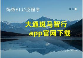 大通斑马智行app官网下载