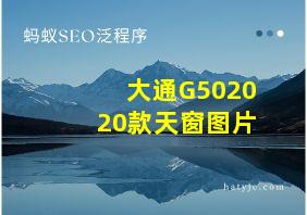 大通G502020款天窗图片